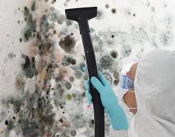 Best Mold Prevention Services  in USA